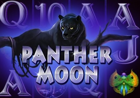 Panther Moon