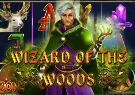 Wizard of the Woods